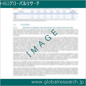 グローバルリサーチ調査レポートのイメージ
